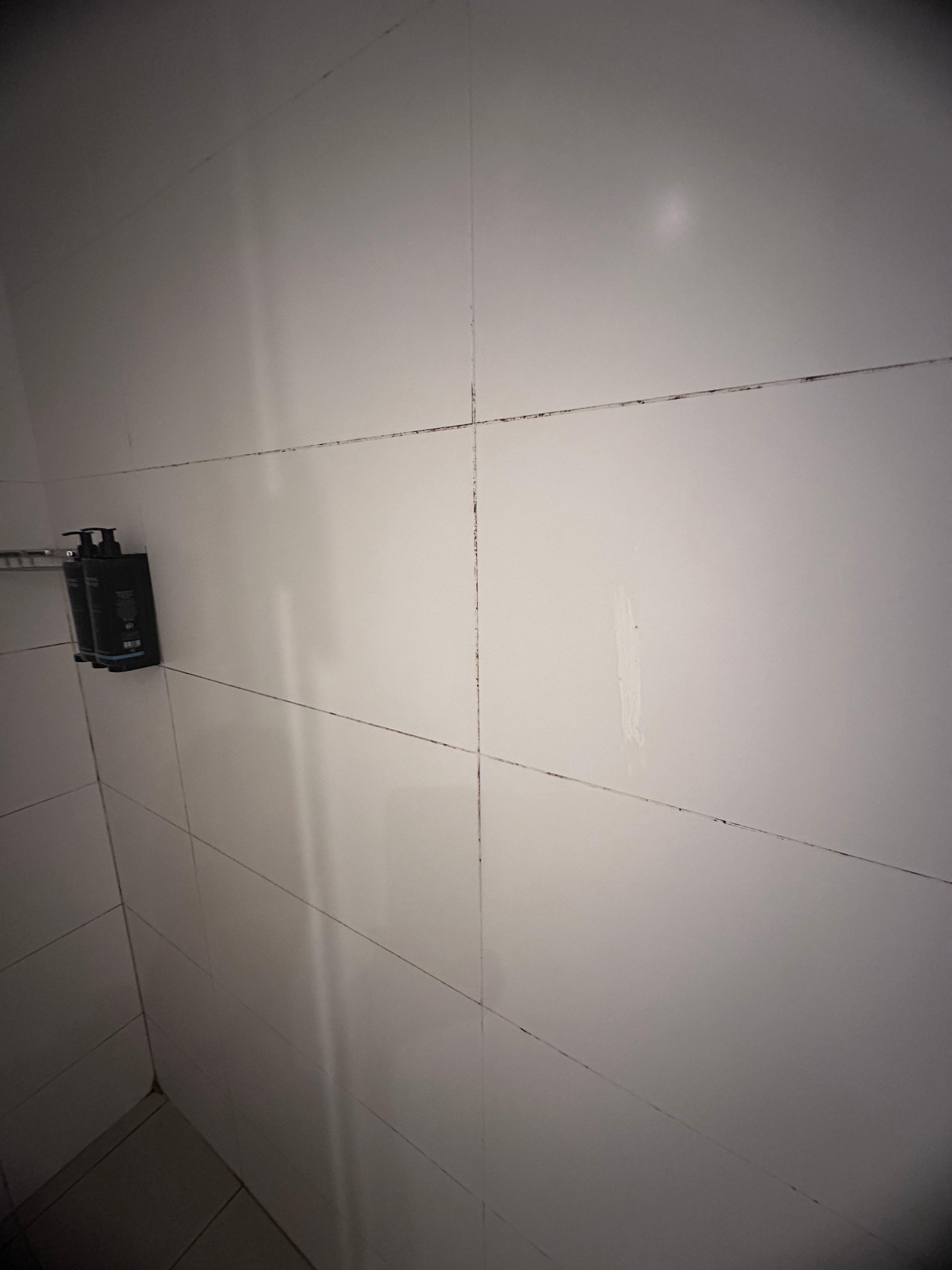 Schimmel an der gesamte Fuge