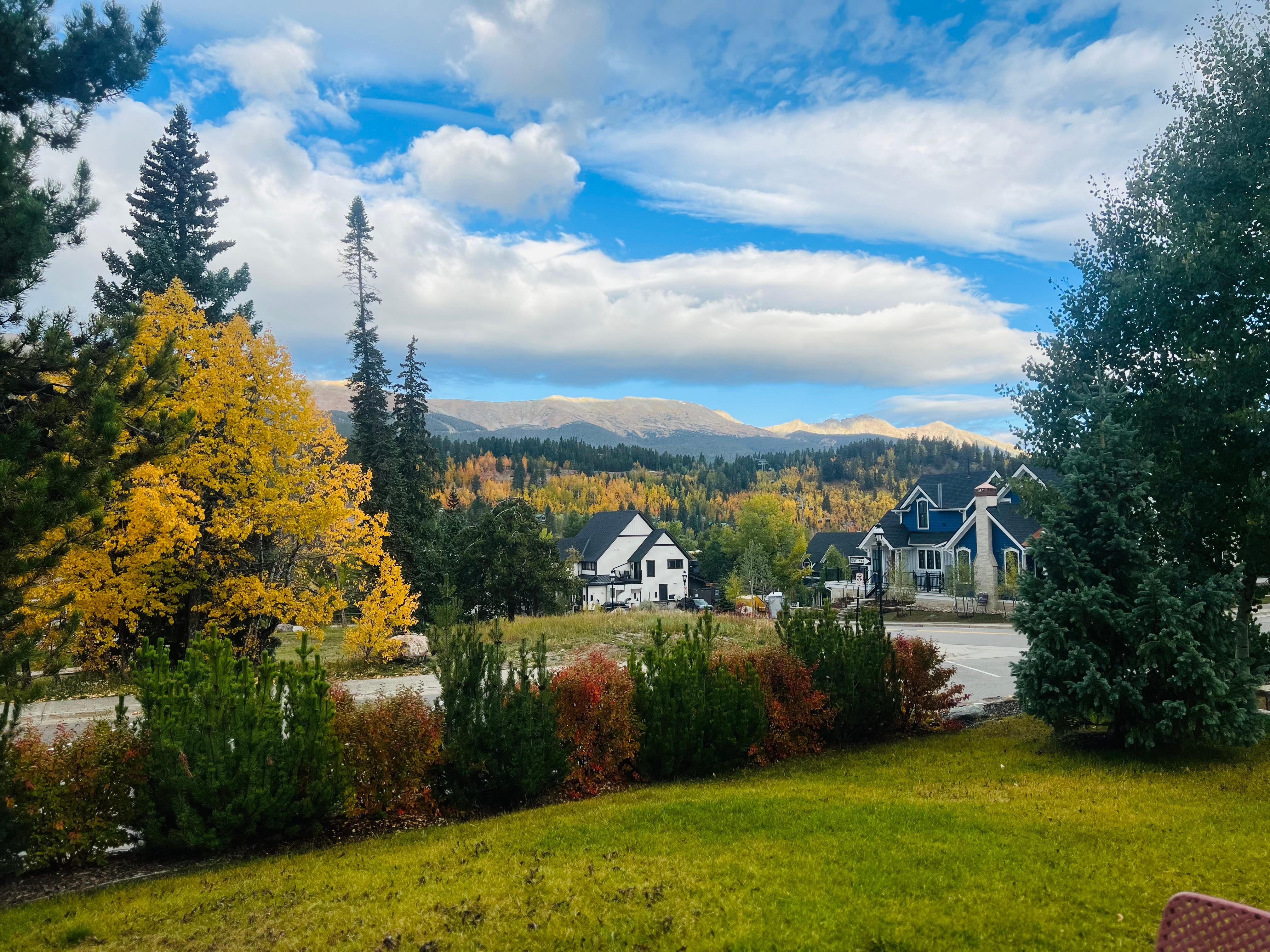View from front yard 