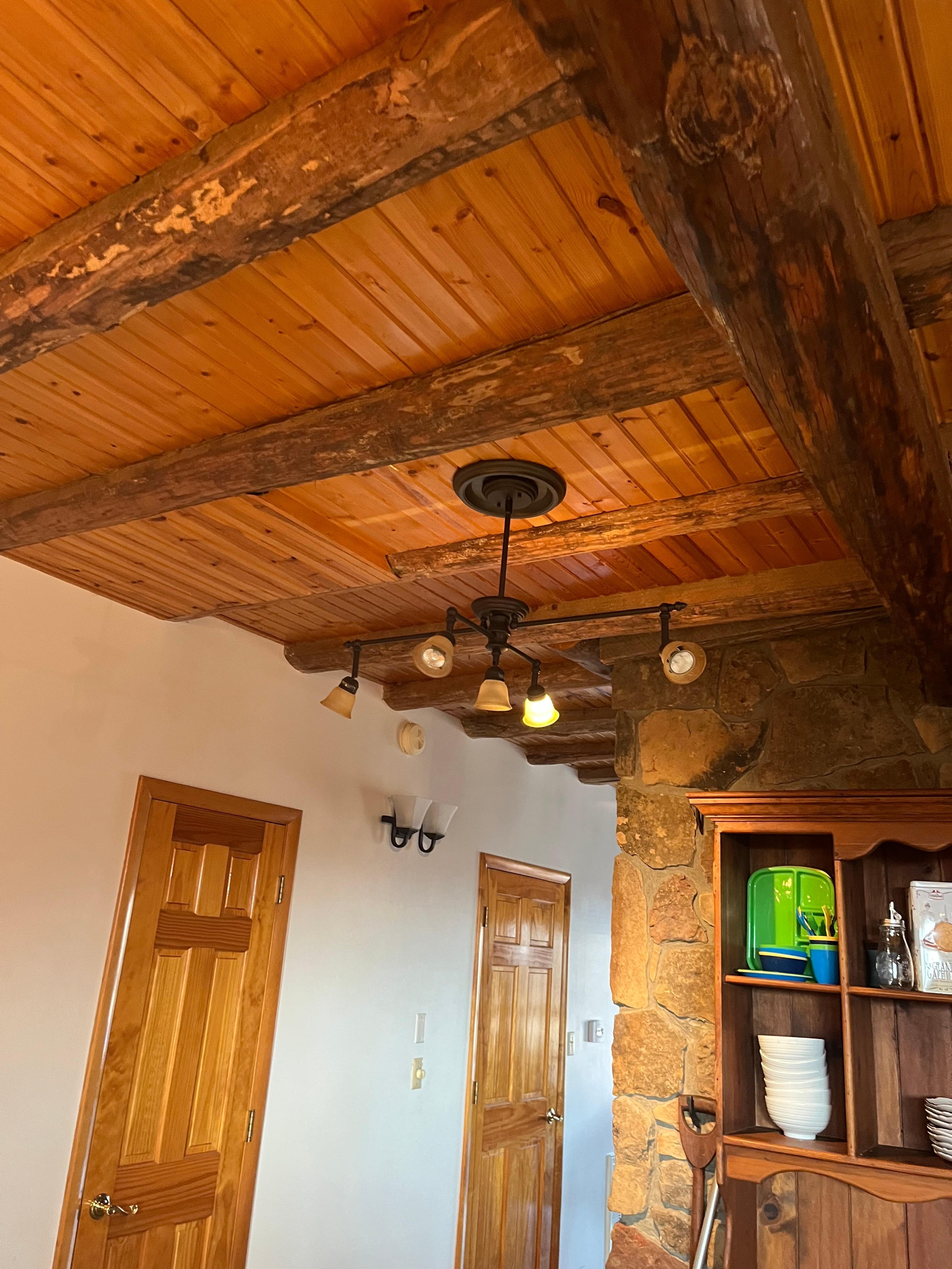 Flies, moth and spiders 