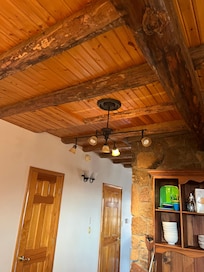 Flies, moth and spiders