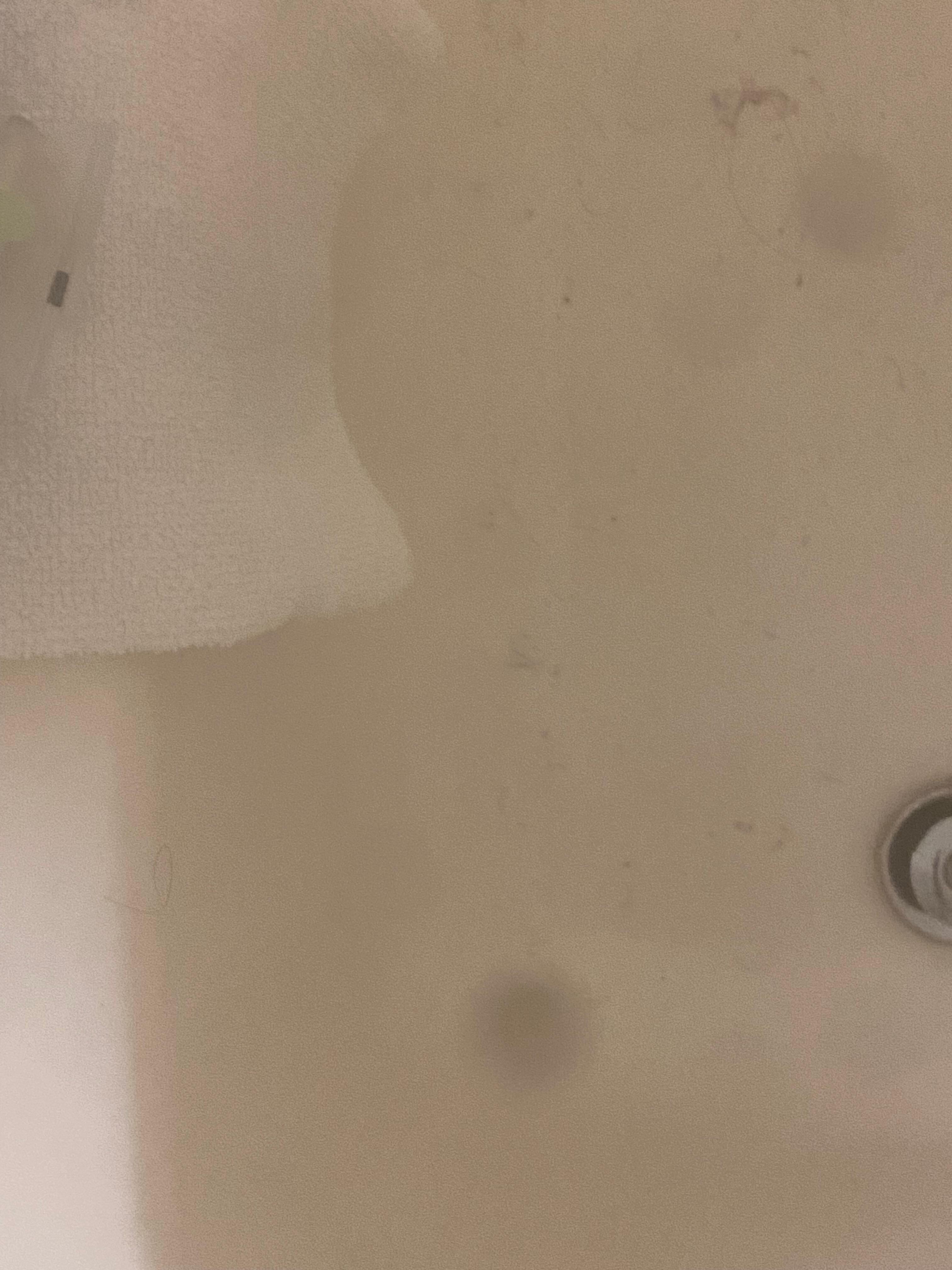 Hairs in the tub was filthy and smelly 