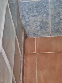 Schimmel in der Dusche