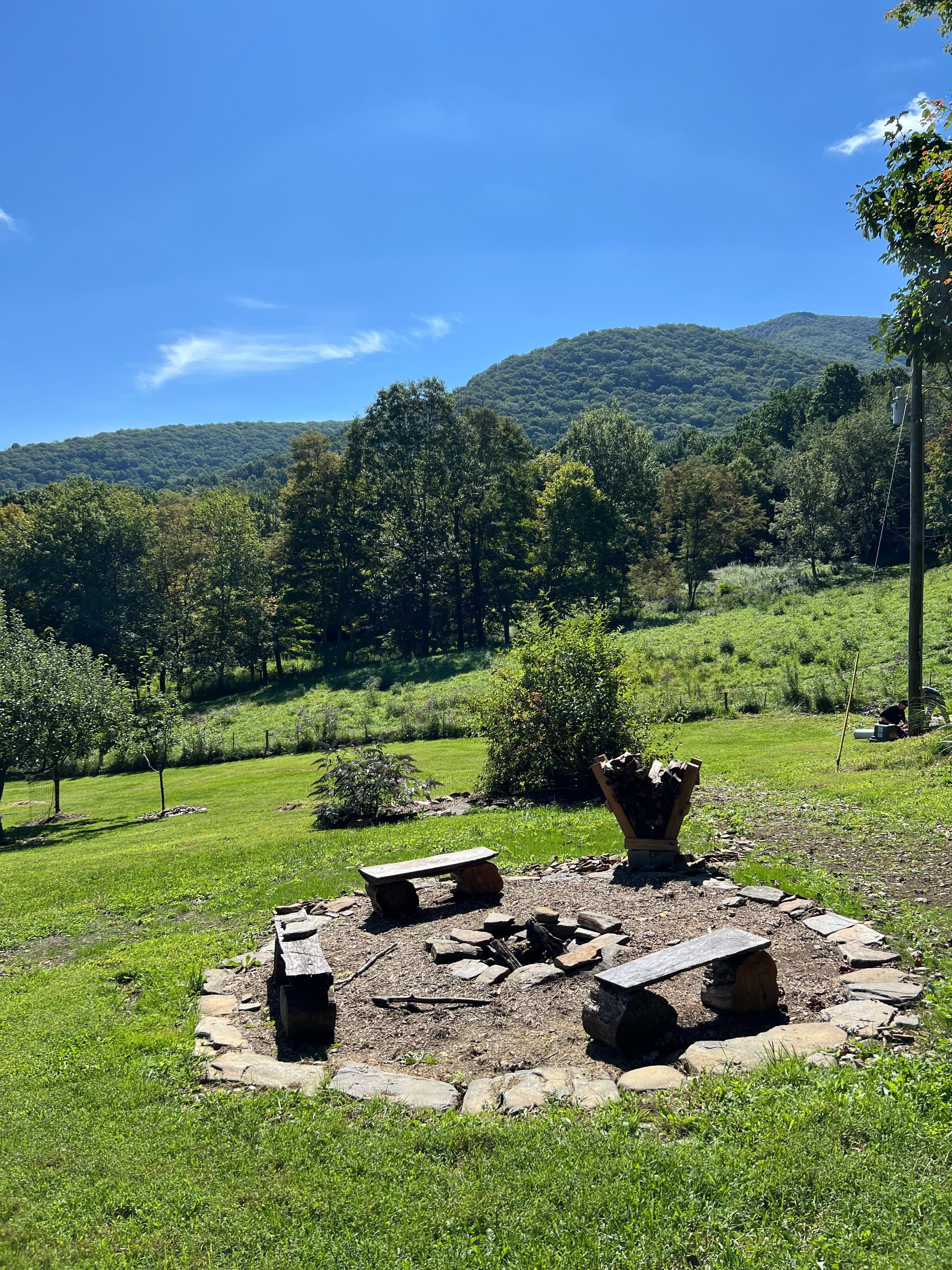 View from the porch! 