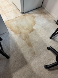 I have a video of the fan size and sound which could not be uploaded