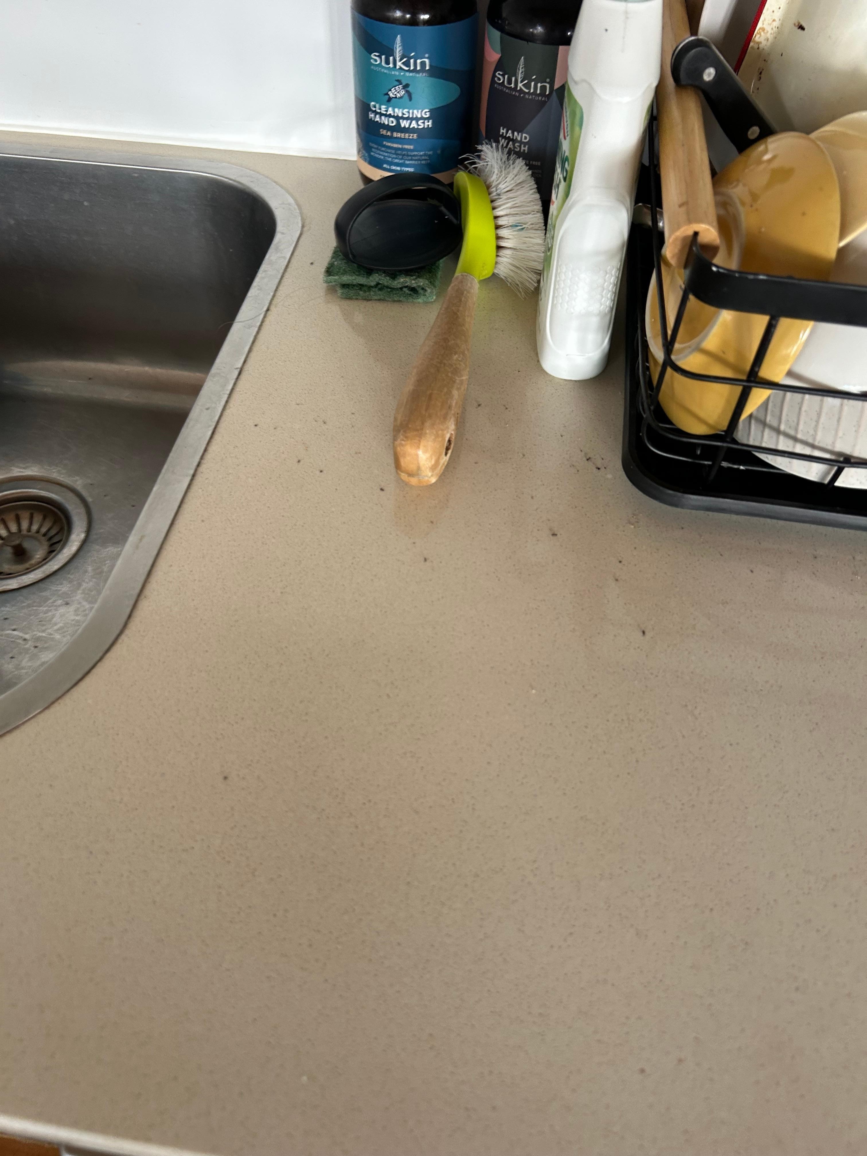 Dishes and dirty kitchen countertop