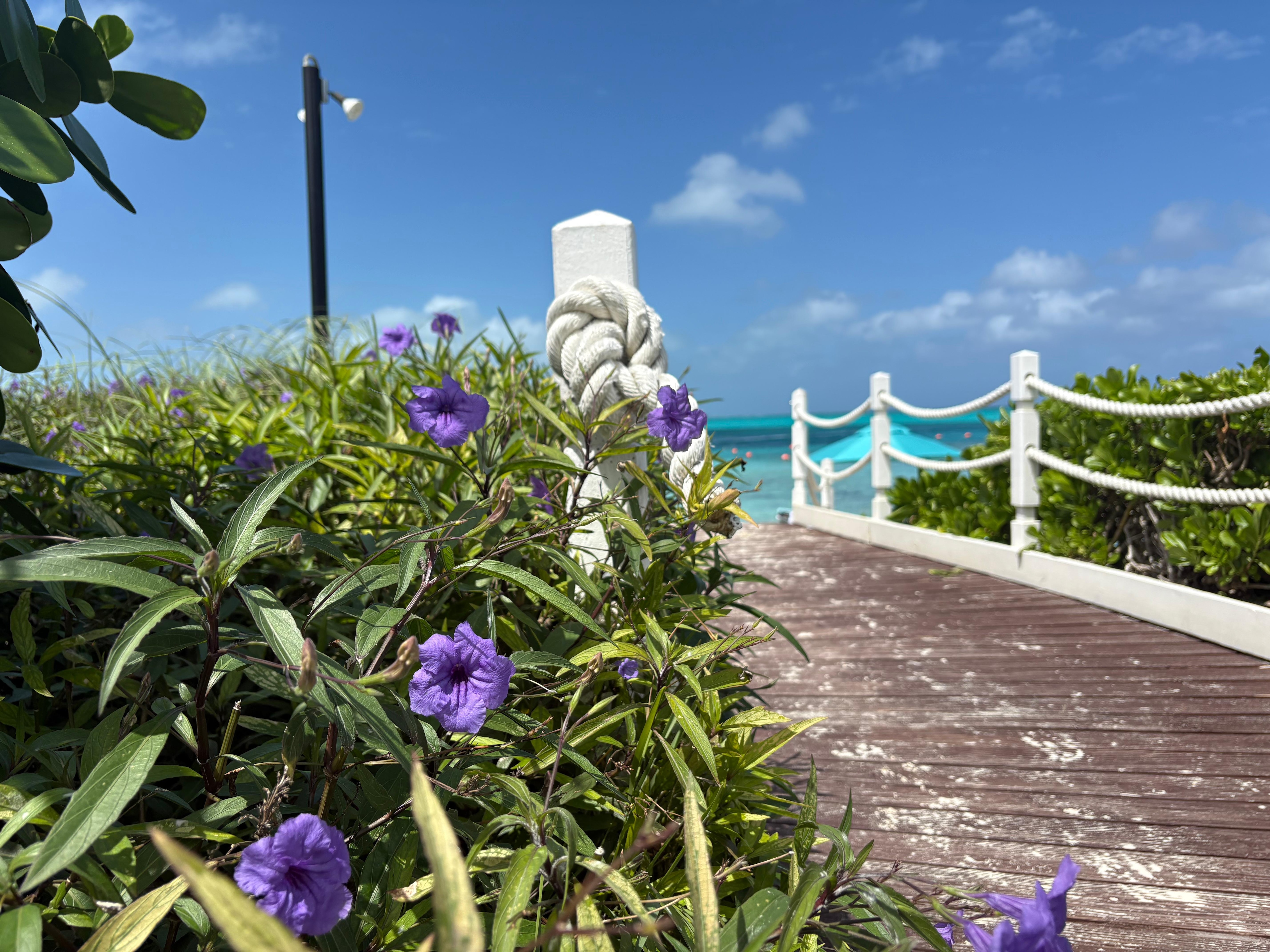 walkway to the beach