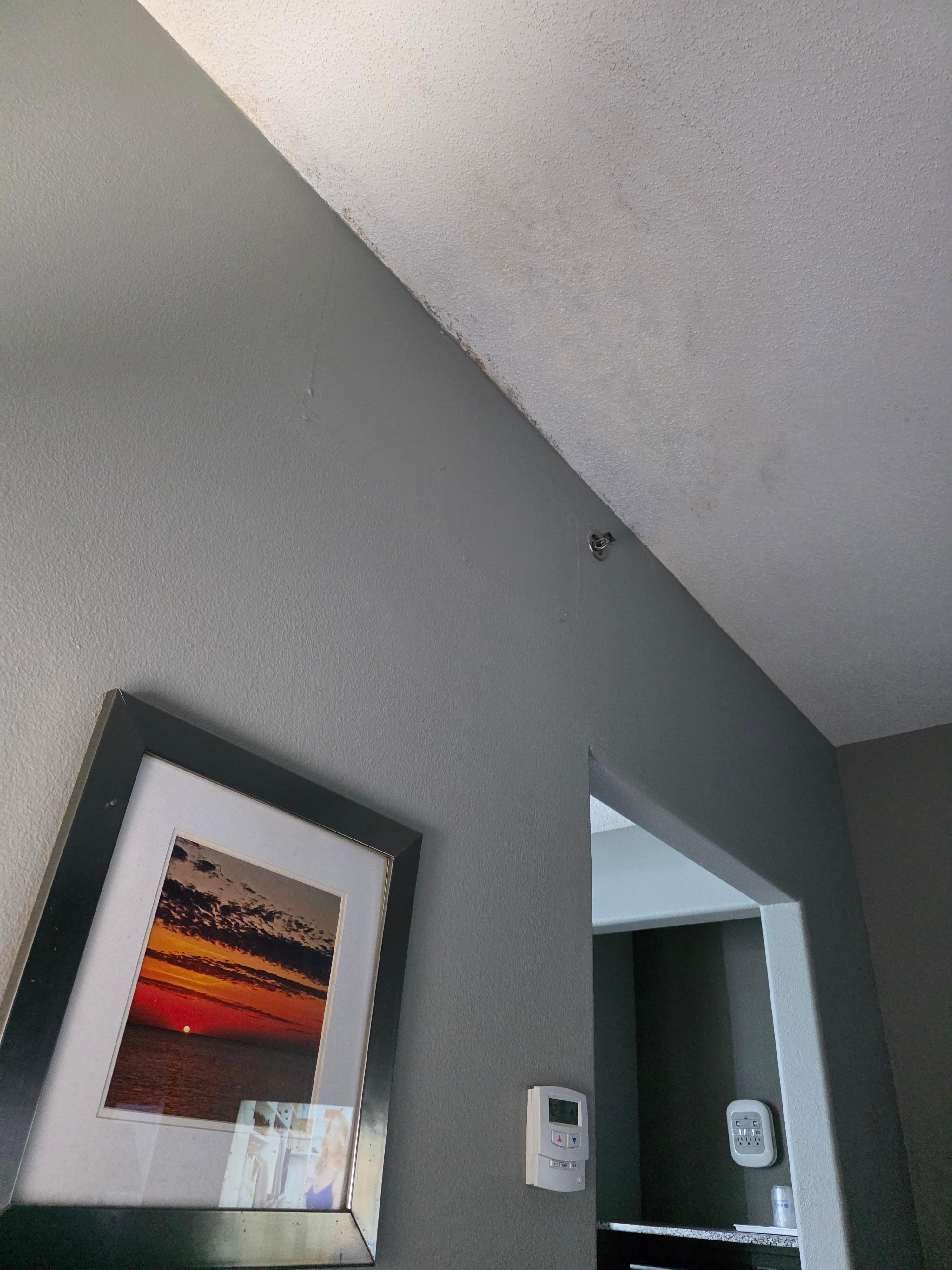 Hard to see the spray of something on there. But, eww. 