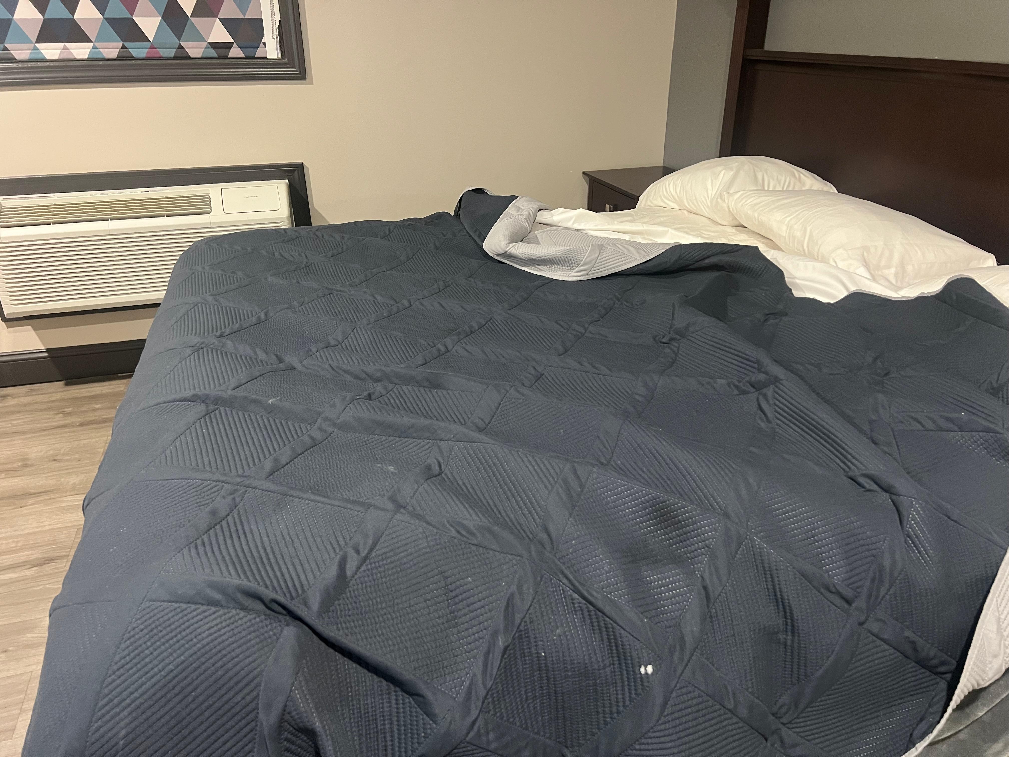 Dead bugs on the bed