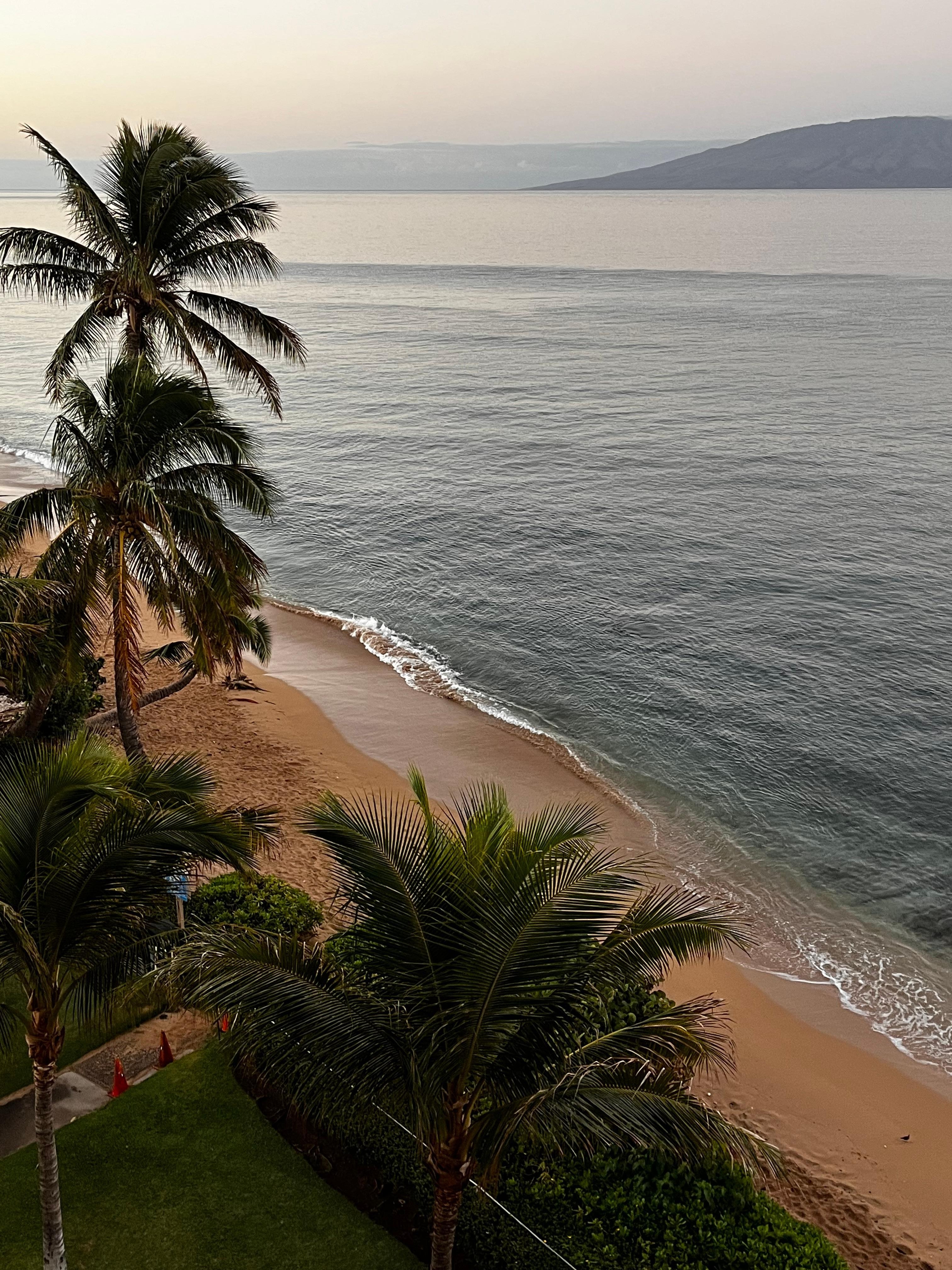 View looking down from lanai 