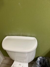 Mold over toilet