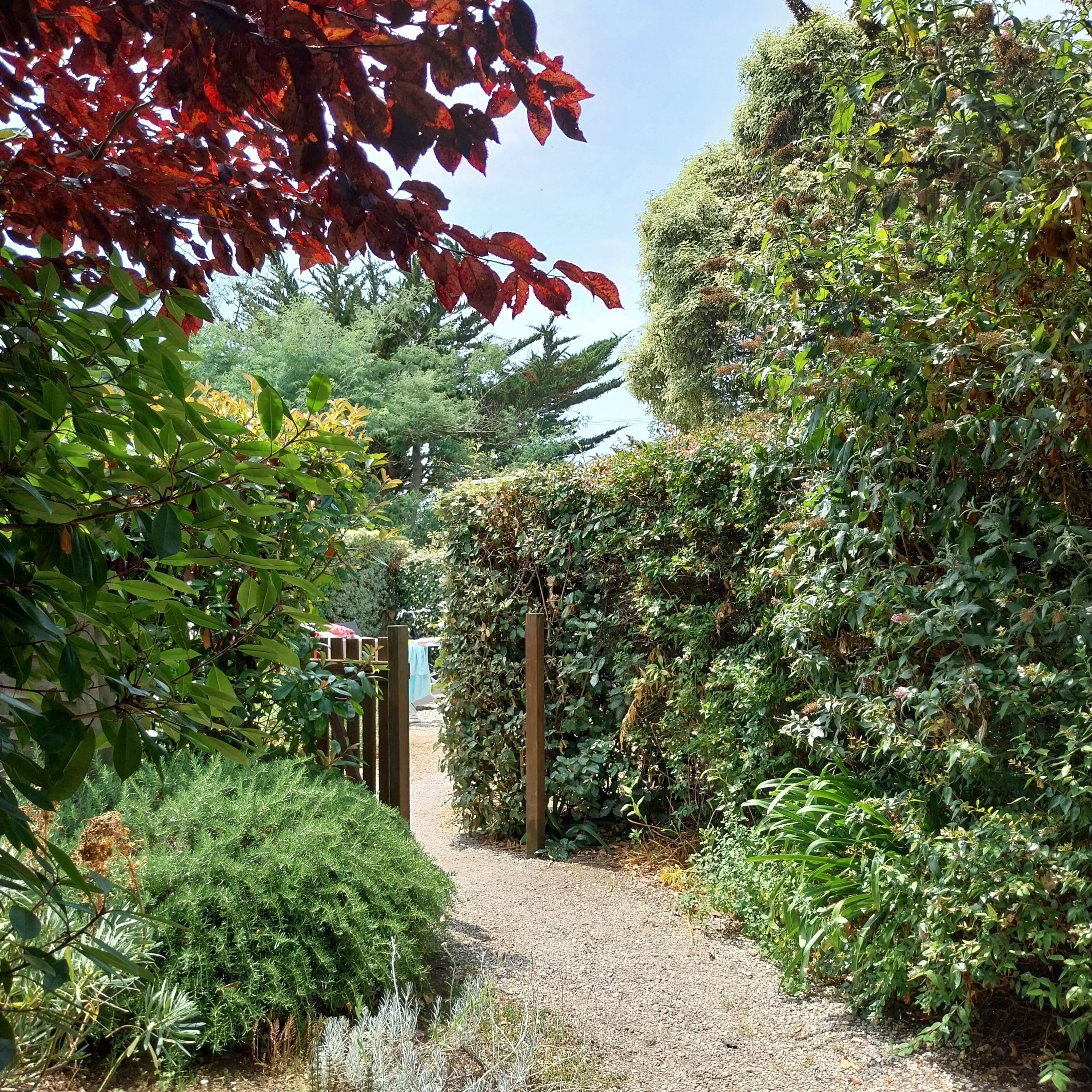 Chemin d'accès à la location 
Chaque parcelleest bien délimitée, intimiste.