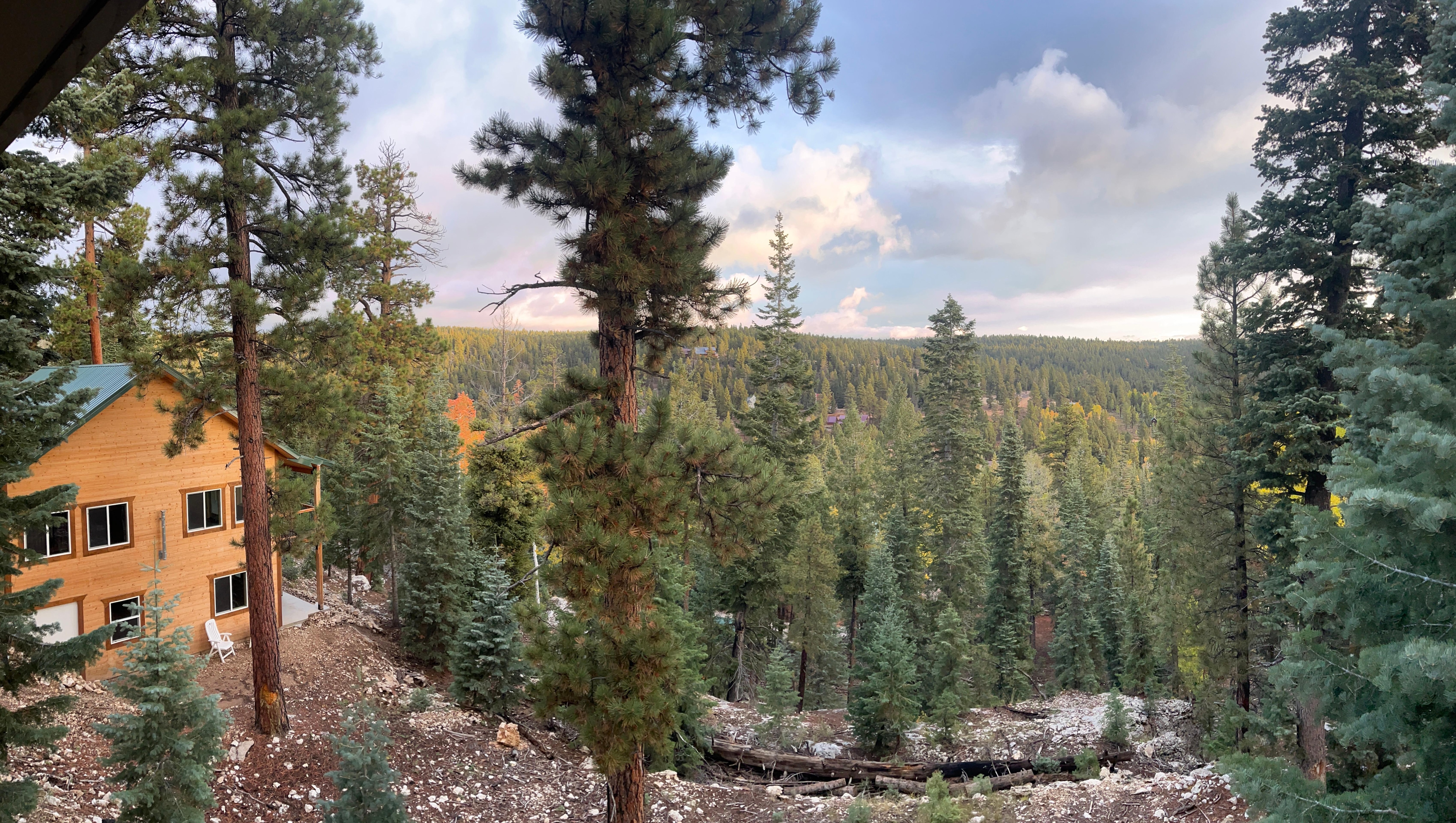 A bit of the view from the deck!