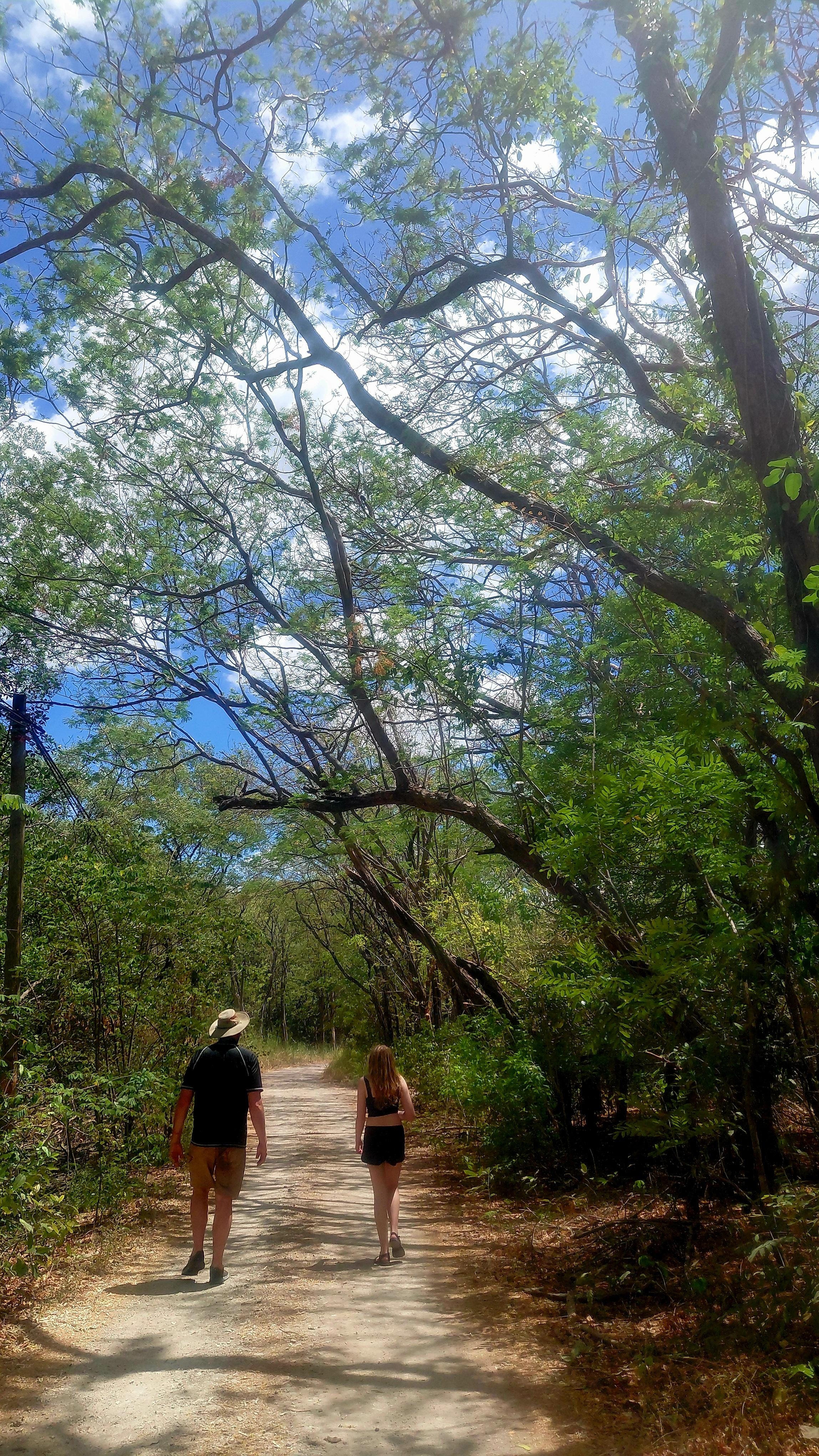 Path through the mangroves