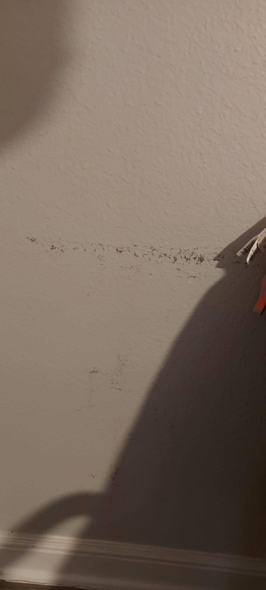 Wände dreckig in der gesamten Wohnung 