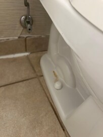 Unclean bathrooms