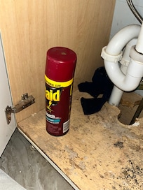 Spray for roaches!