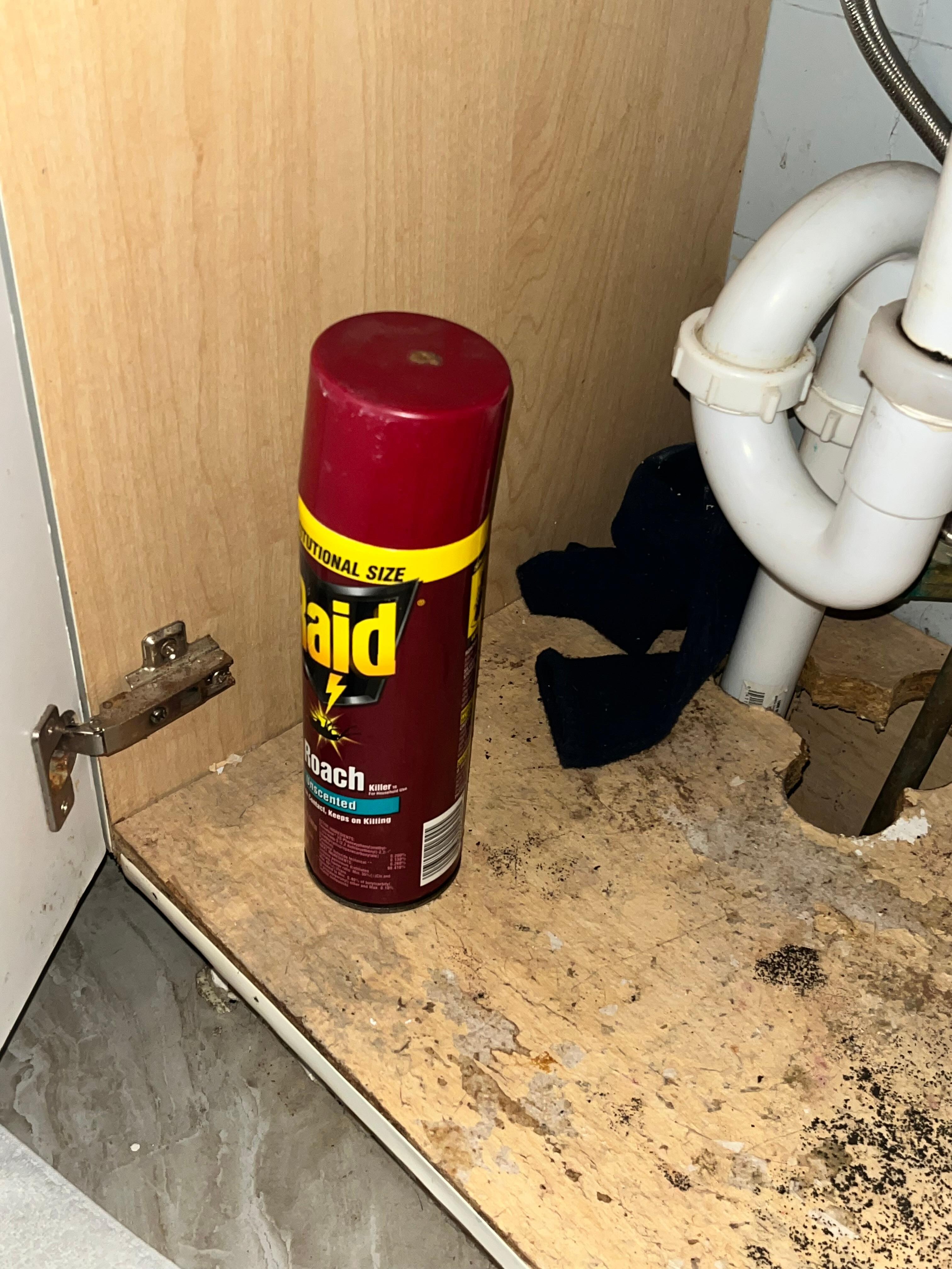 Spray for roaches! 