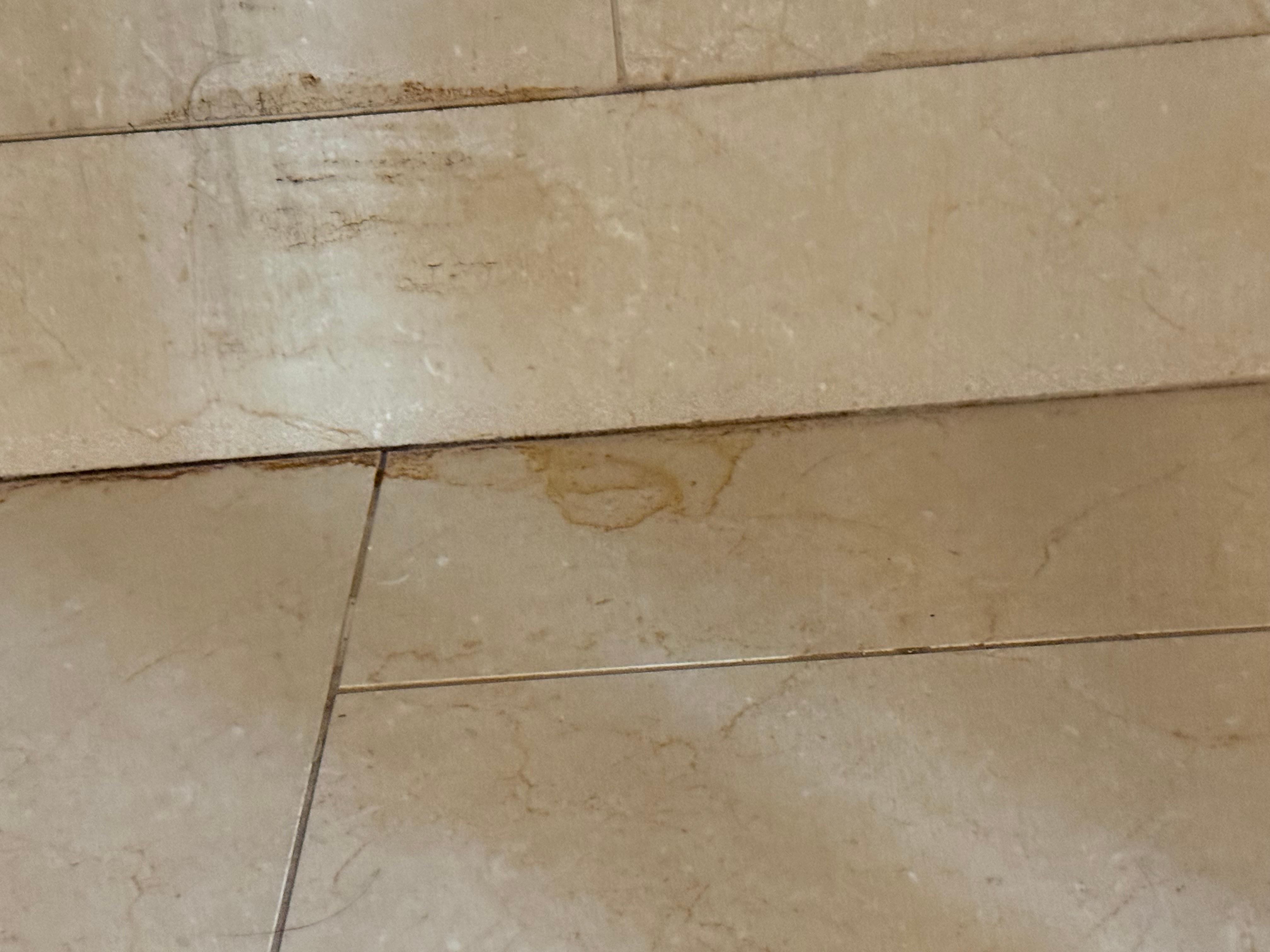 Floors were not clean 