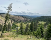 View from near the top of the property.