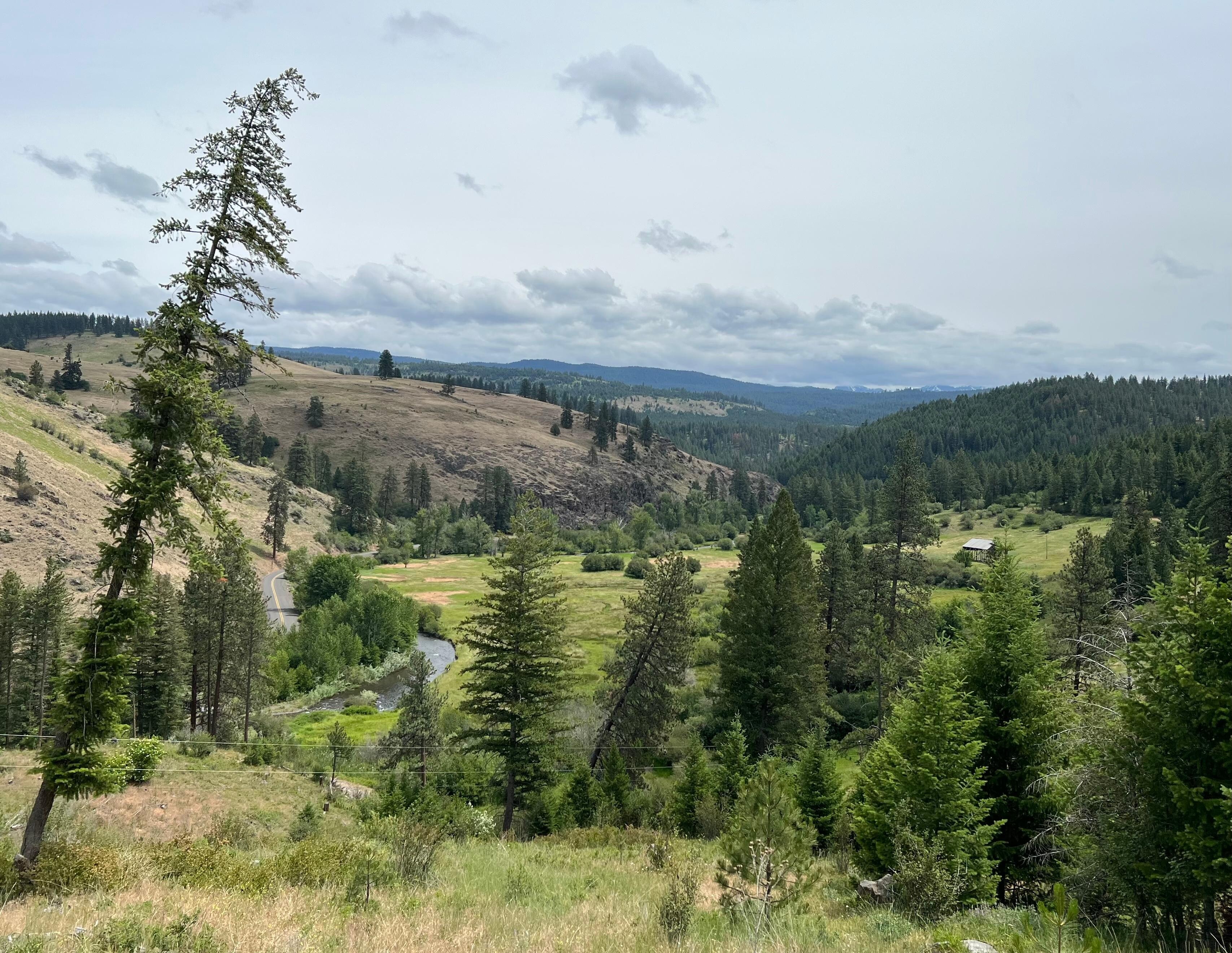 View from near the top of the property.