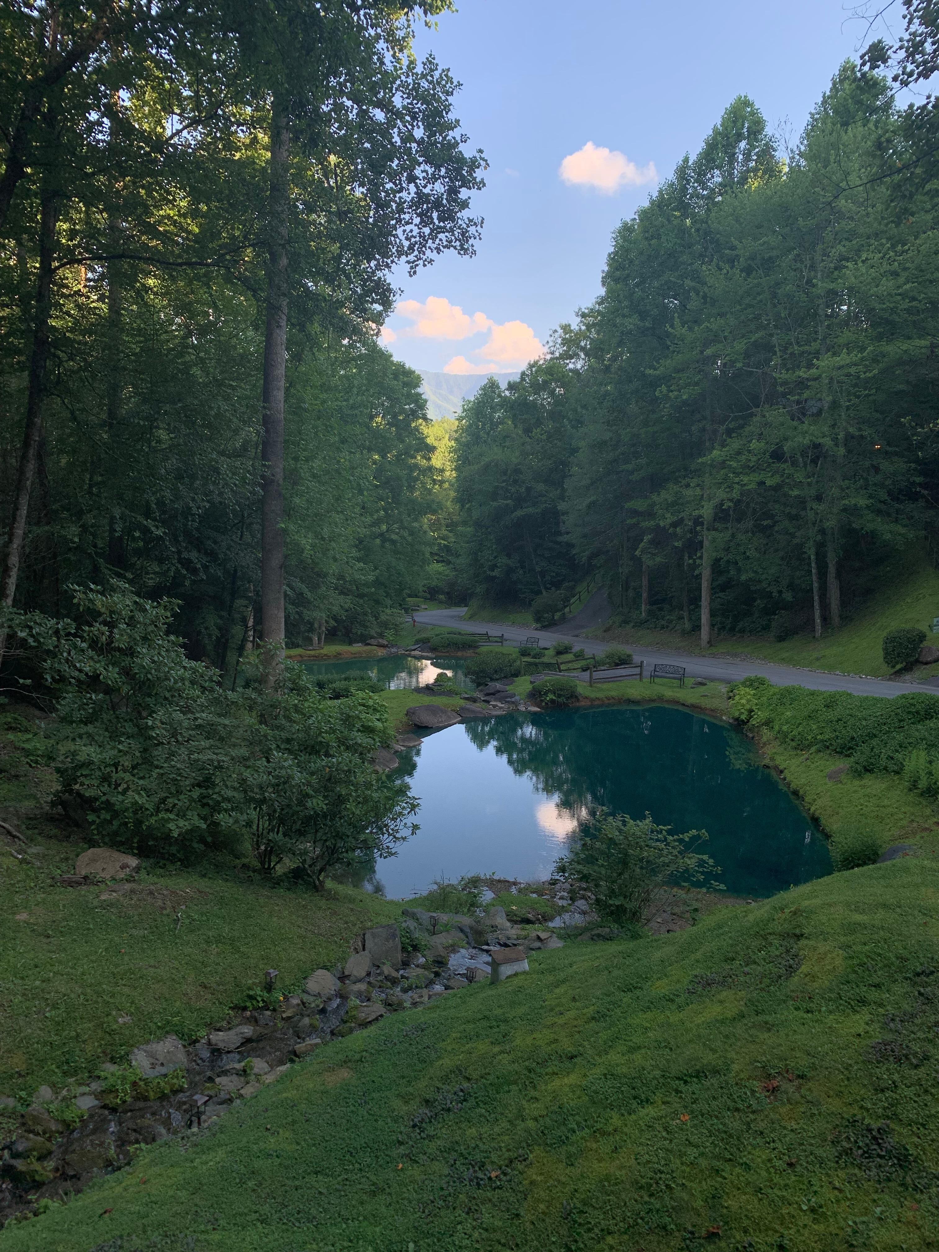 Front porch view