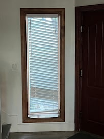 Front door blinds