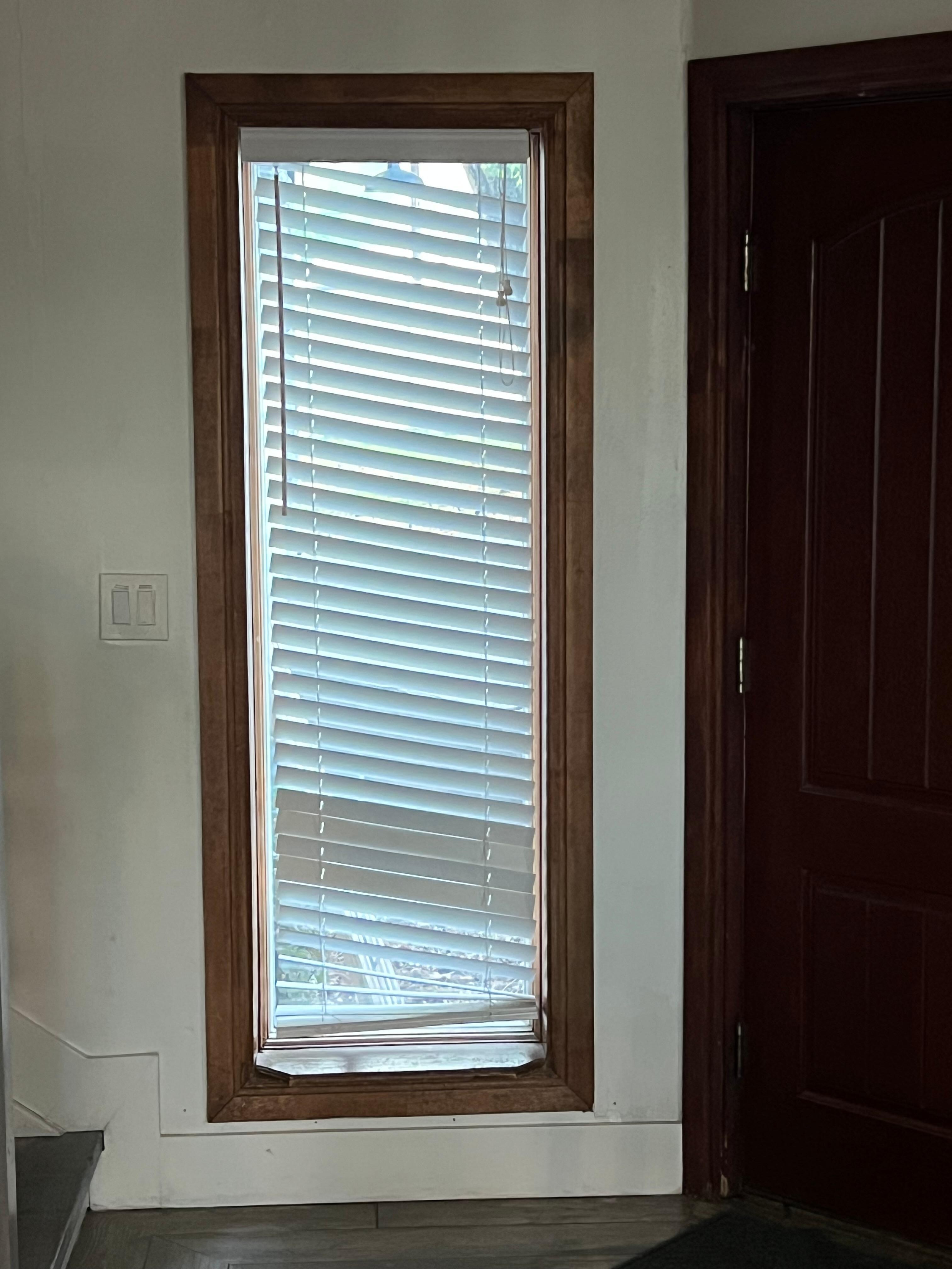 Front door blinds