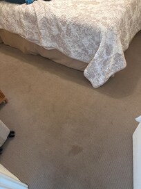 Stained bedroom carpet