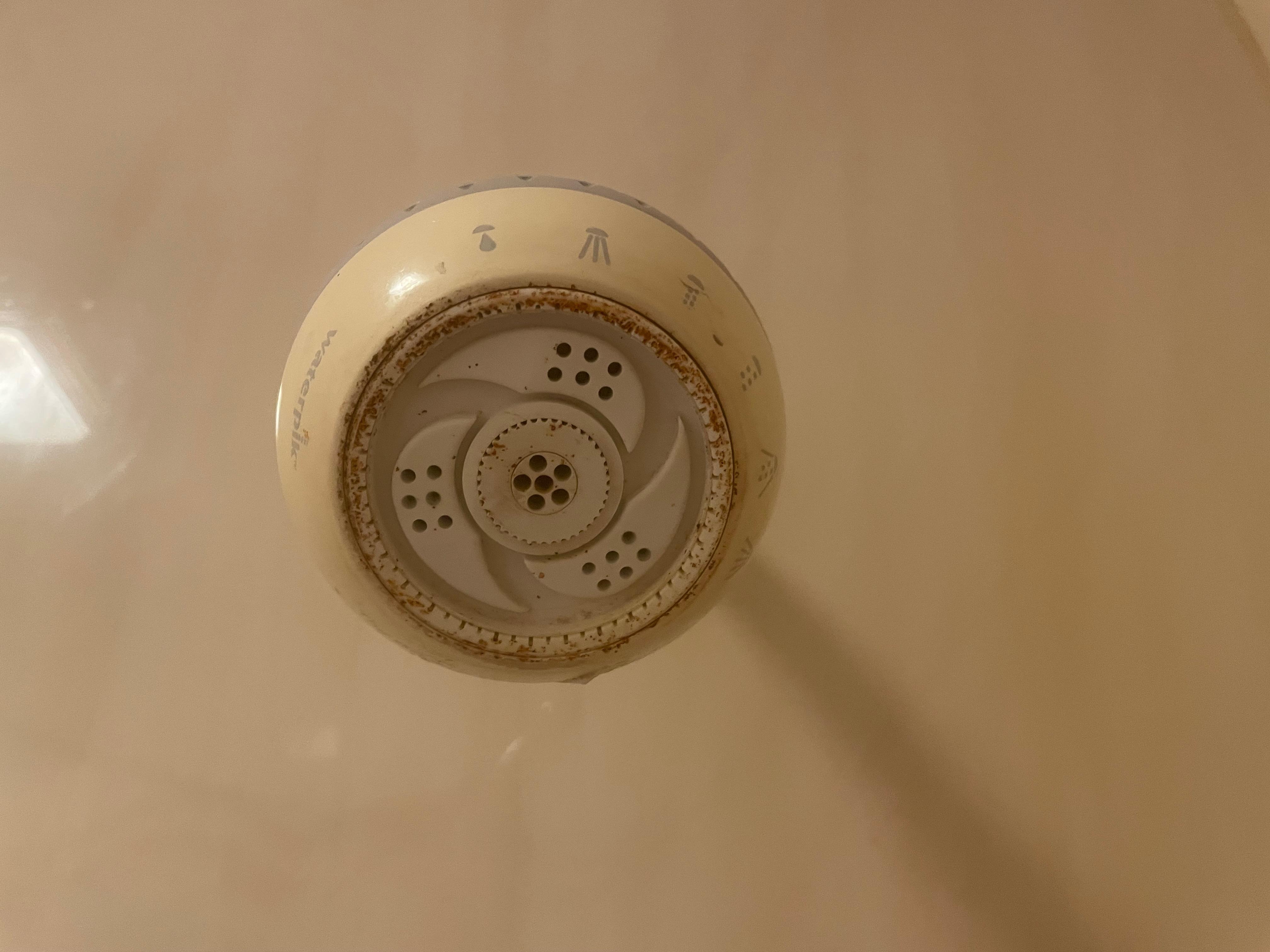 Shower head hasn’t been cleaned or replaced in yers