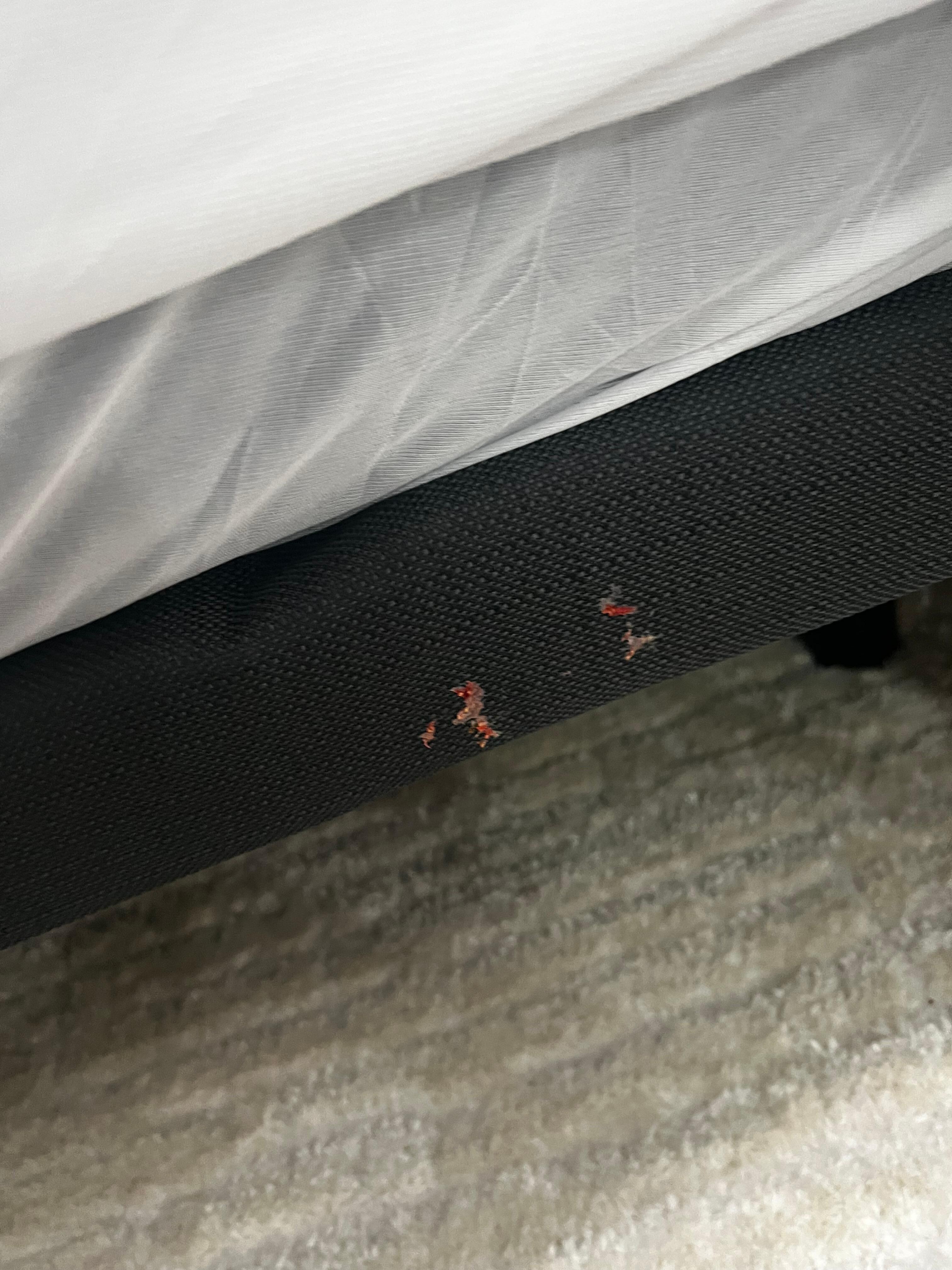 Something nasty on the side of the bed.