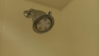 Showerhead