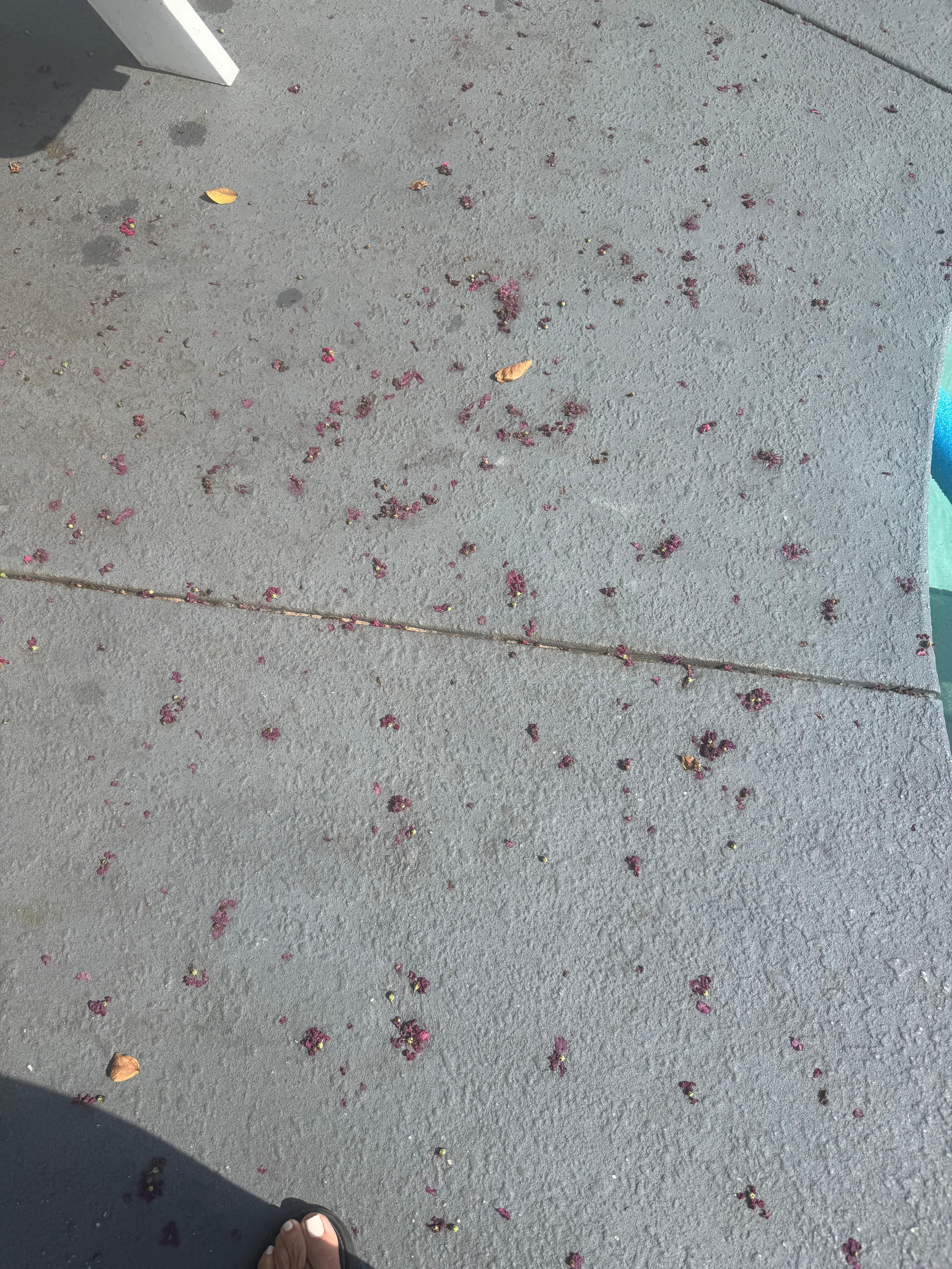 Back deck around pool