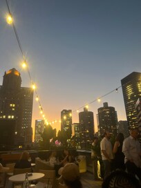 Rooftop Vines