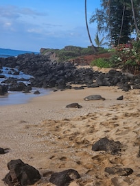 Turtles at the private beach!