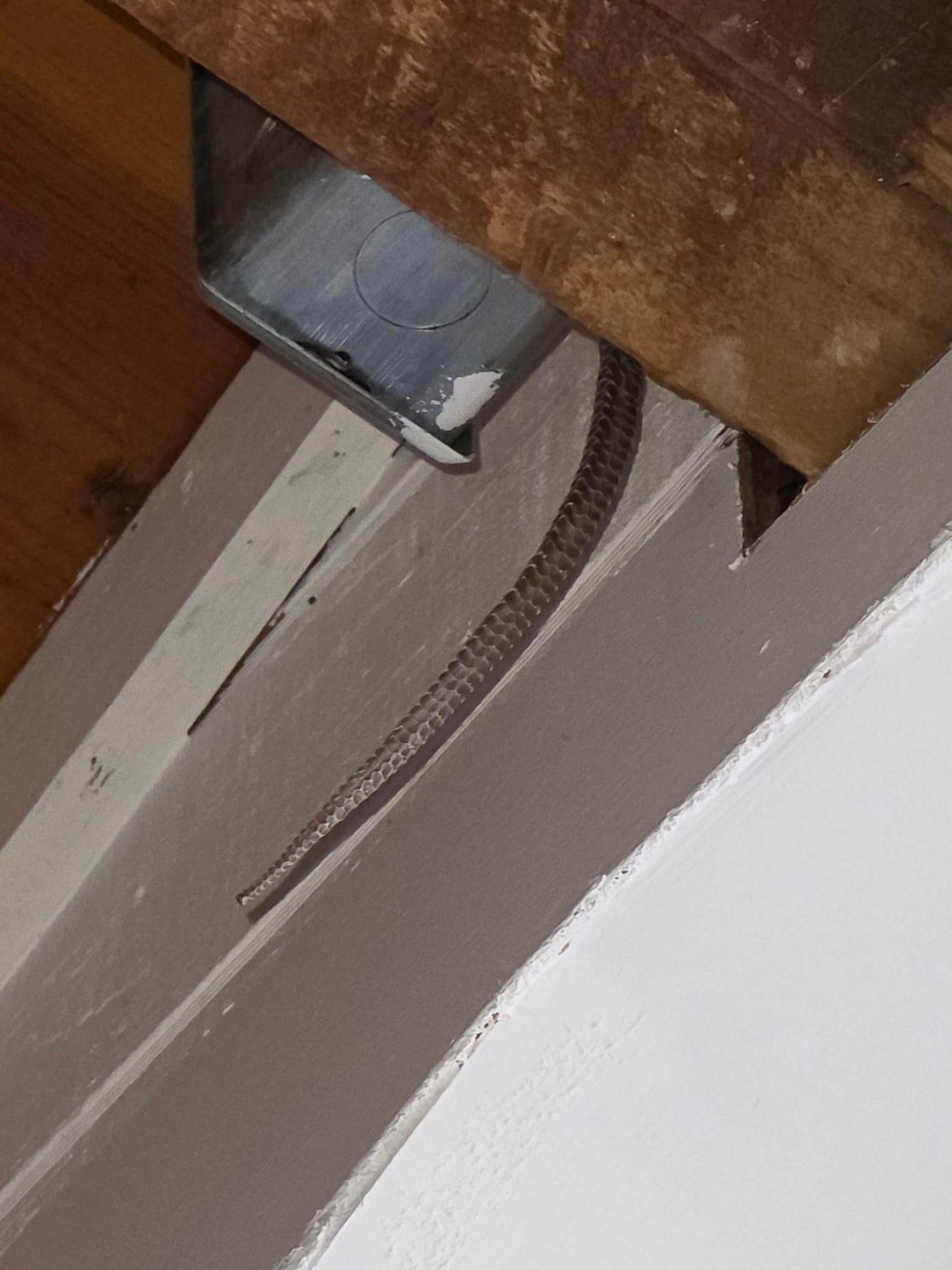 Snake skin tail above bed in rafter