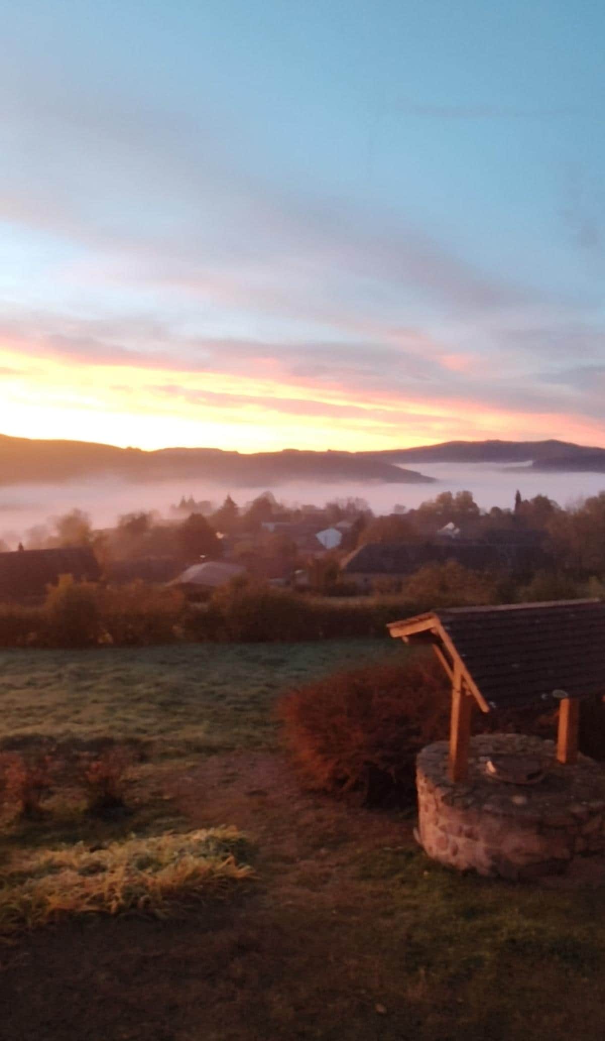 Le matin, voir cette beauté est merveilleux. 