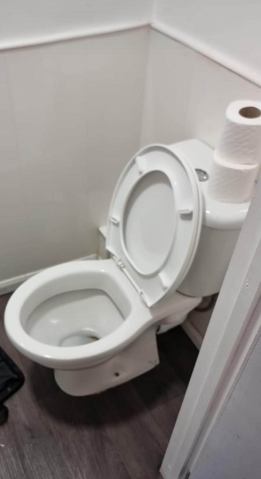 Toilet overflow going constant and flush button keeps falling off