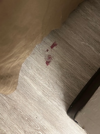 Blood on the floor