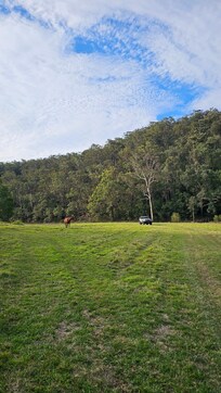 great place at the bottom where canoe and kayaking activity can walk all the way down