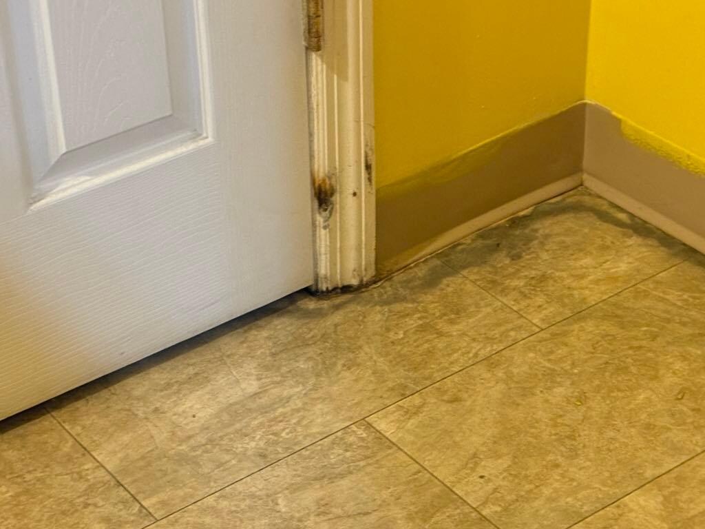 Bathroom floor with possible mold. No ventilation.
