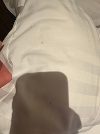 Dirty pillows