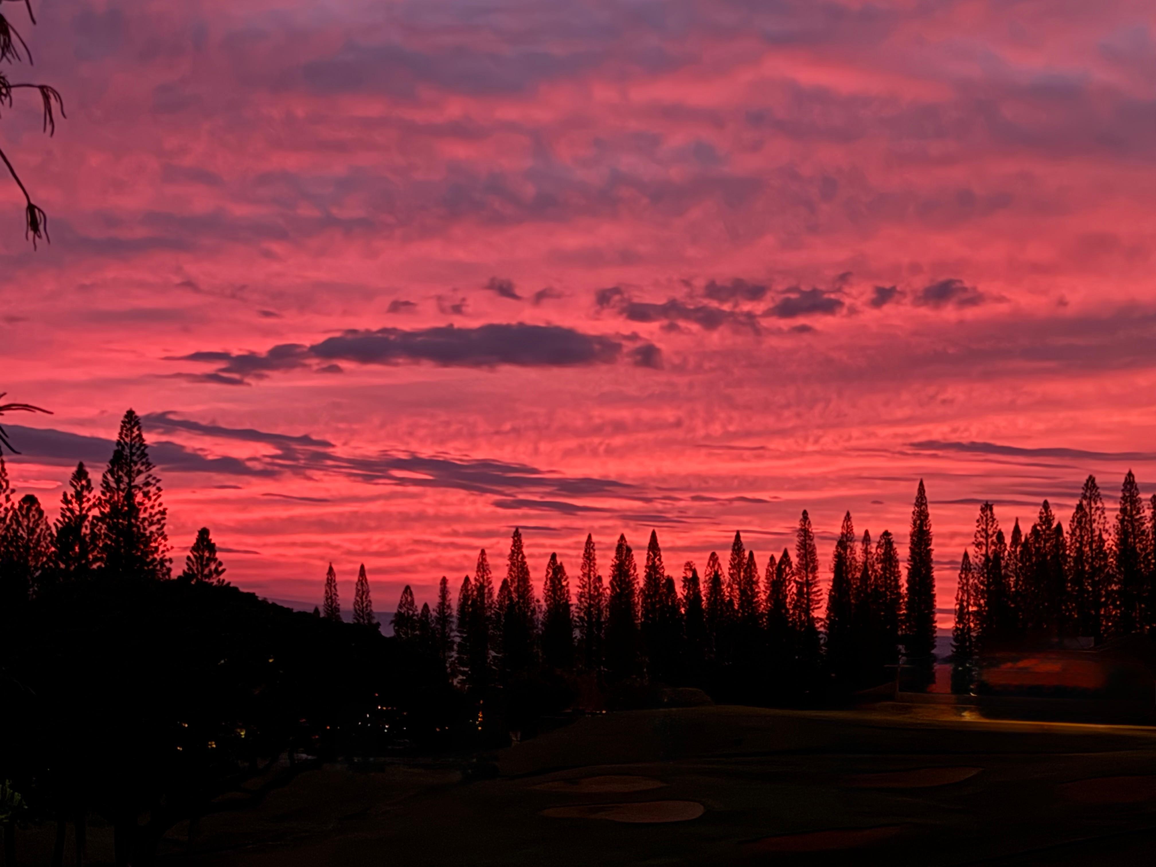 Sunset as you pull into the villas. 