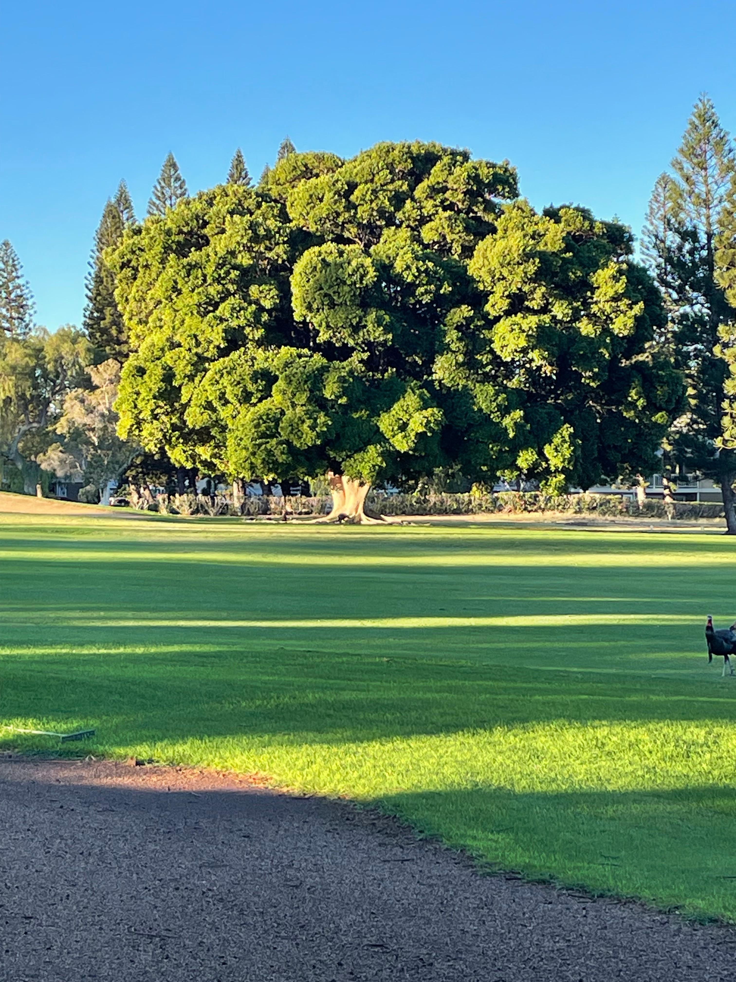 We love the pretty view.