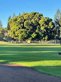 We love the pretty view.