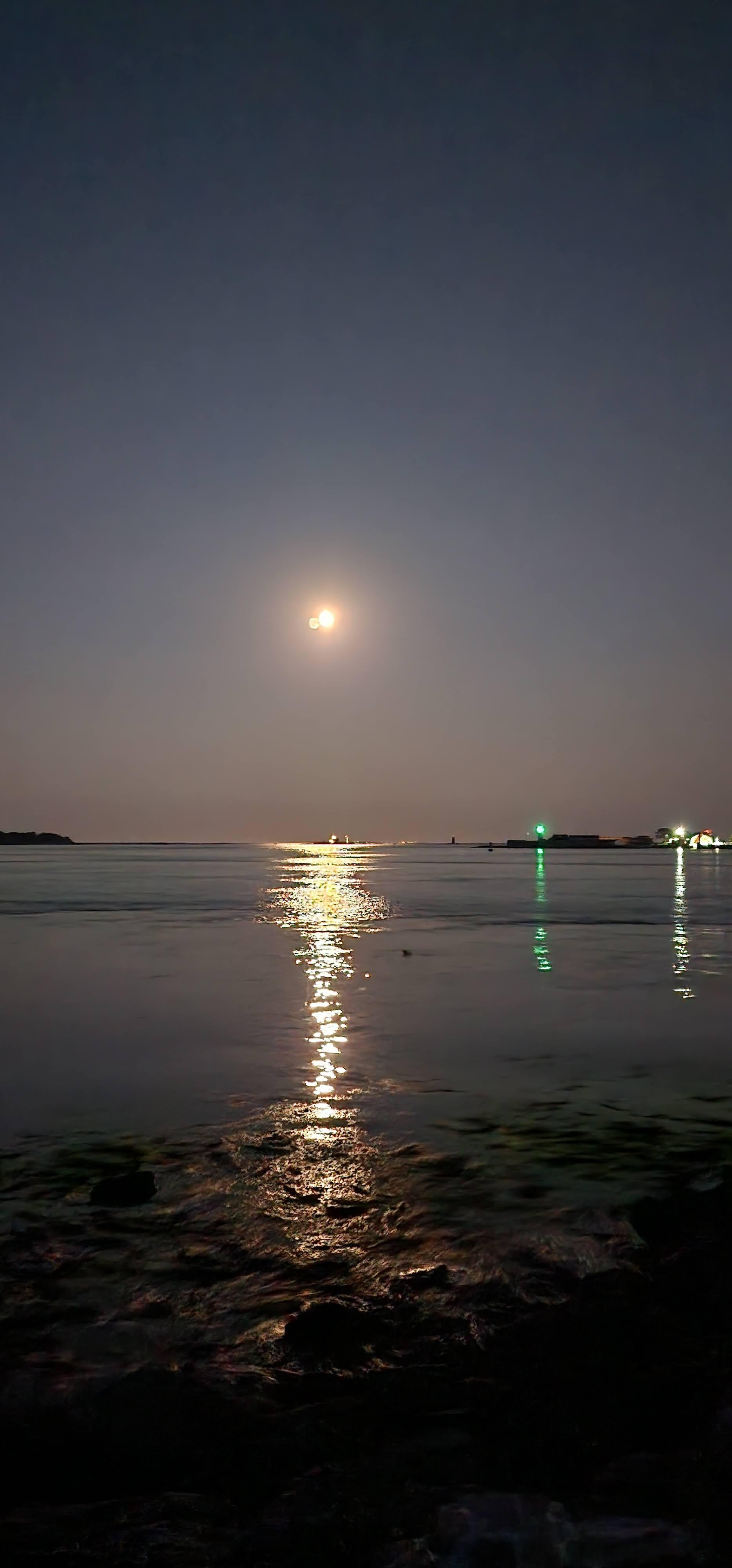 Full moon viewed from the edge of the property.