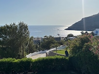 View from garden in the morning