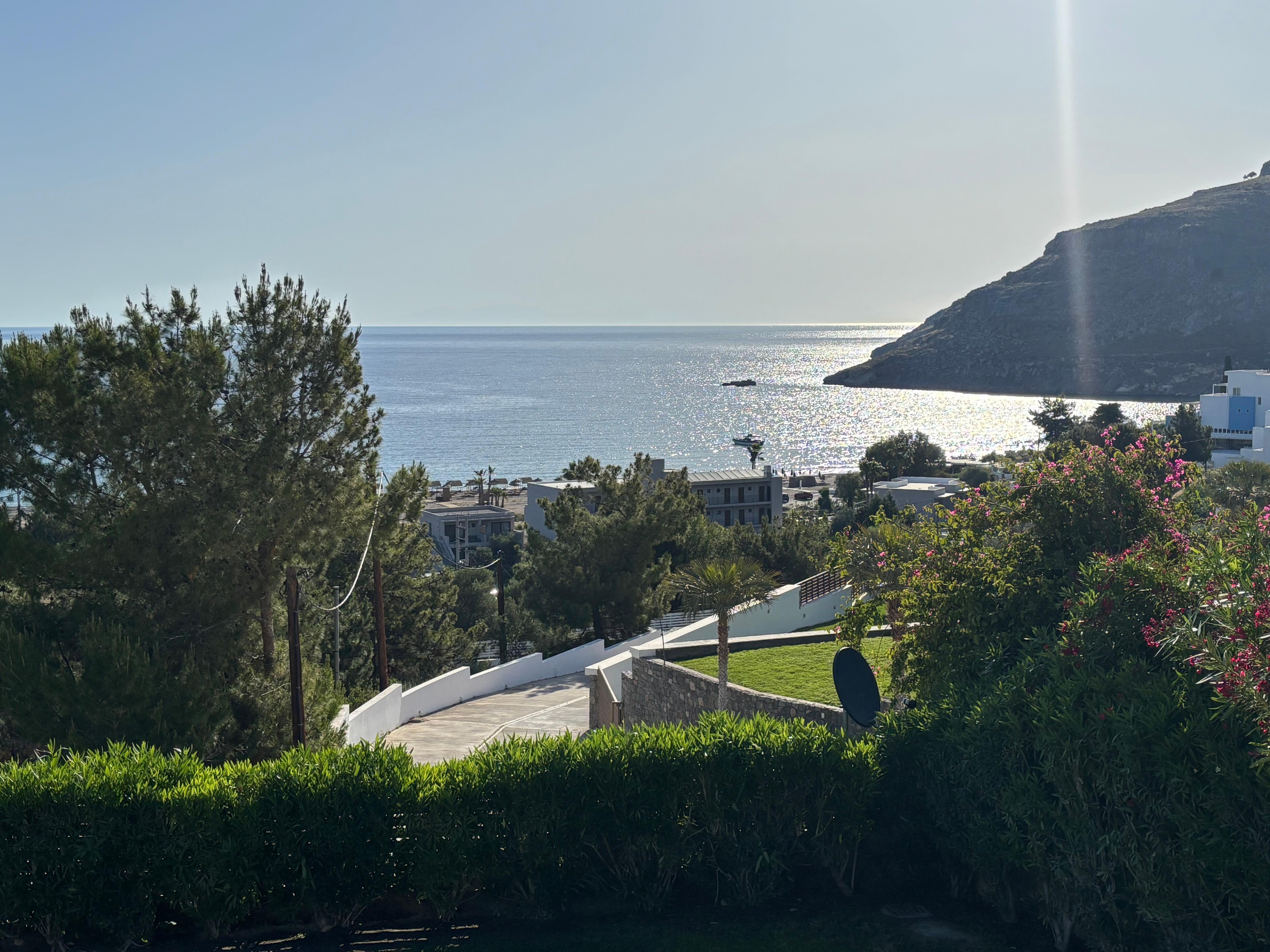 View from garden in the morning