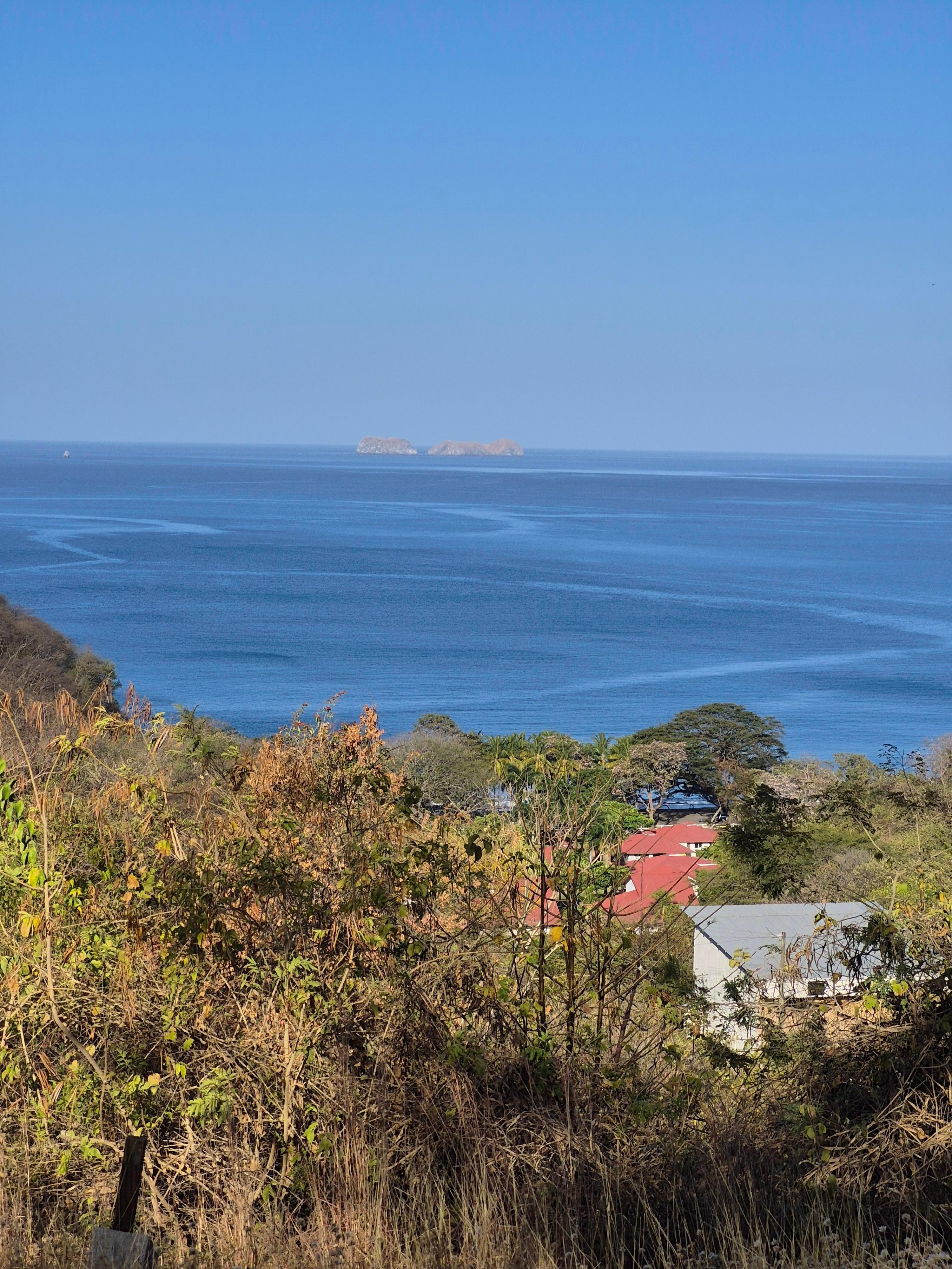 view from the gazebo