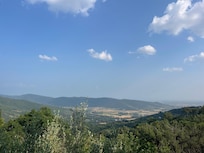 View from terrace