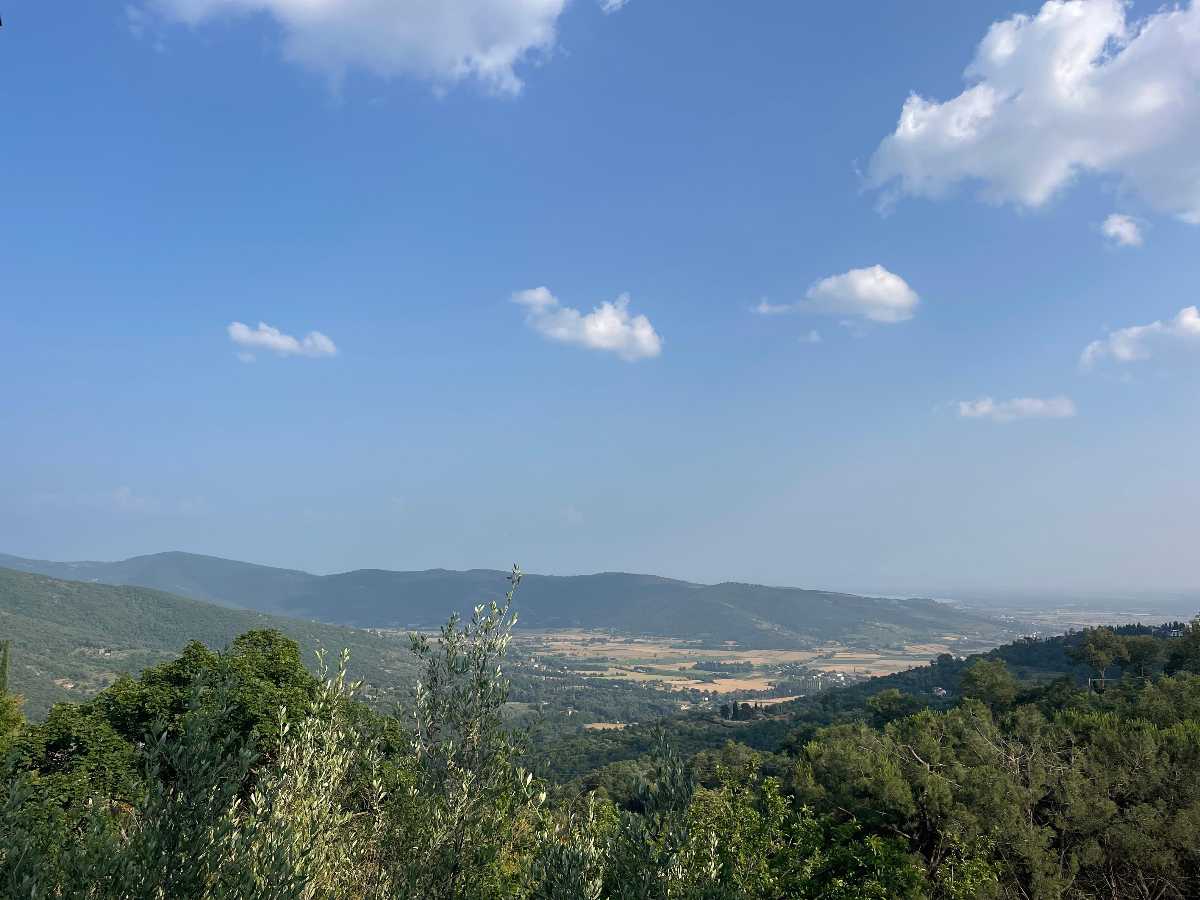 View from terrace